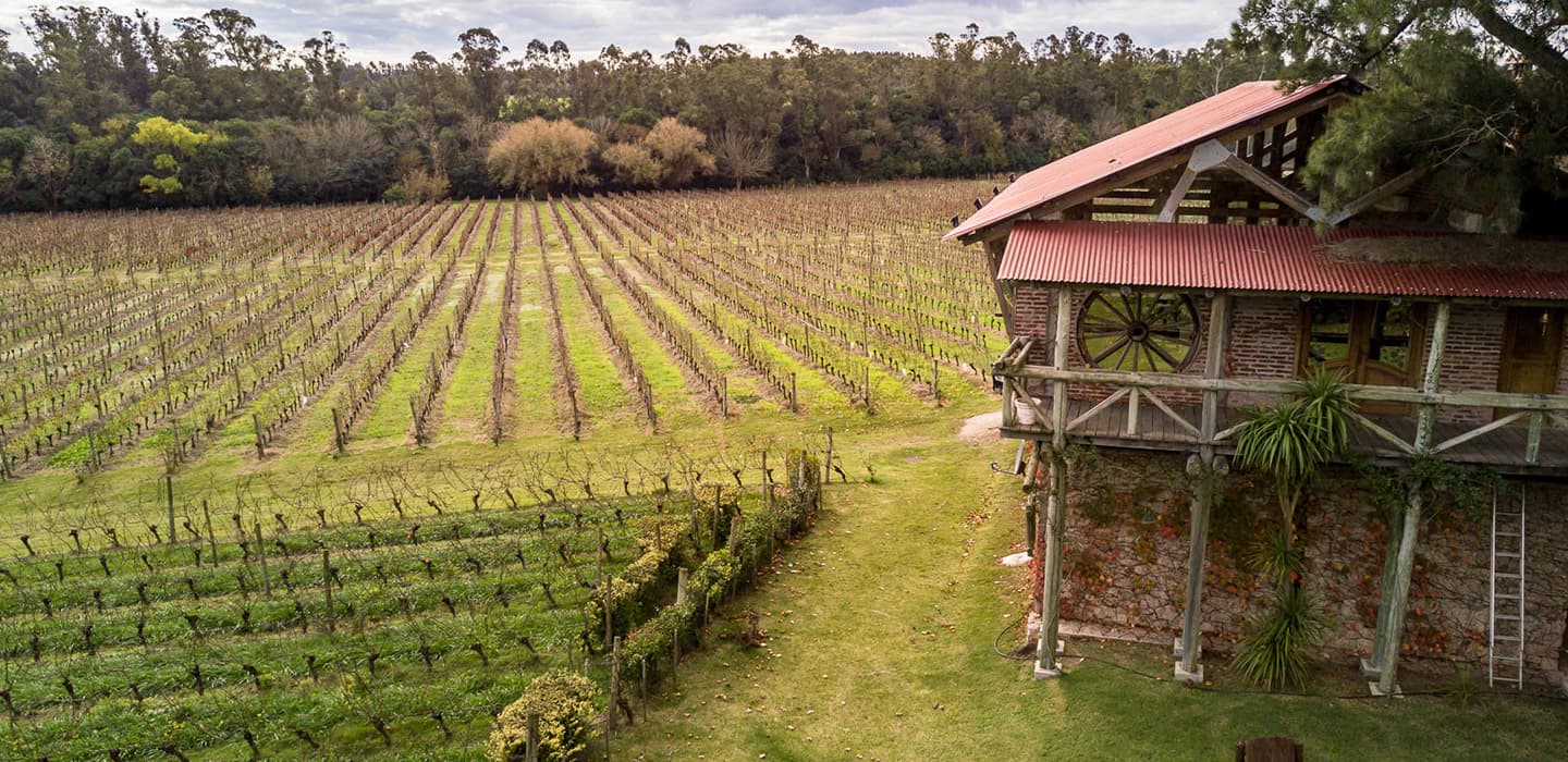 BODEGA H. STAGNARI