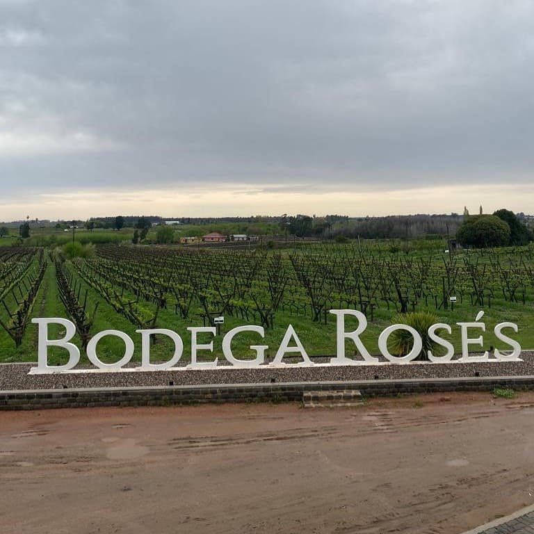 BODEGA ROSÉS