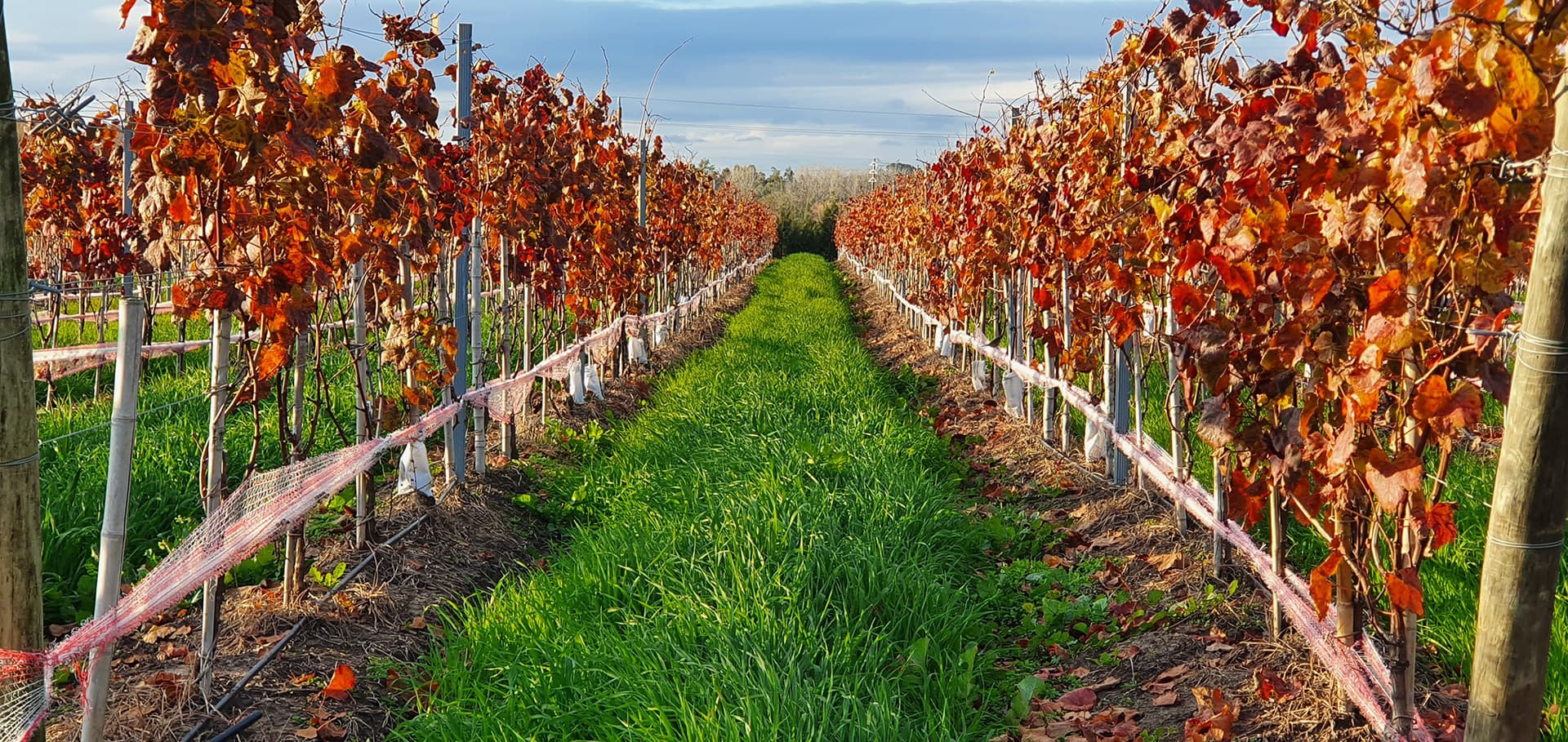 CANTERA MONTES DE OCA