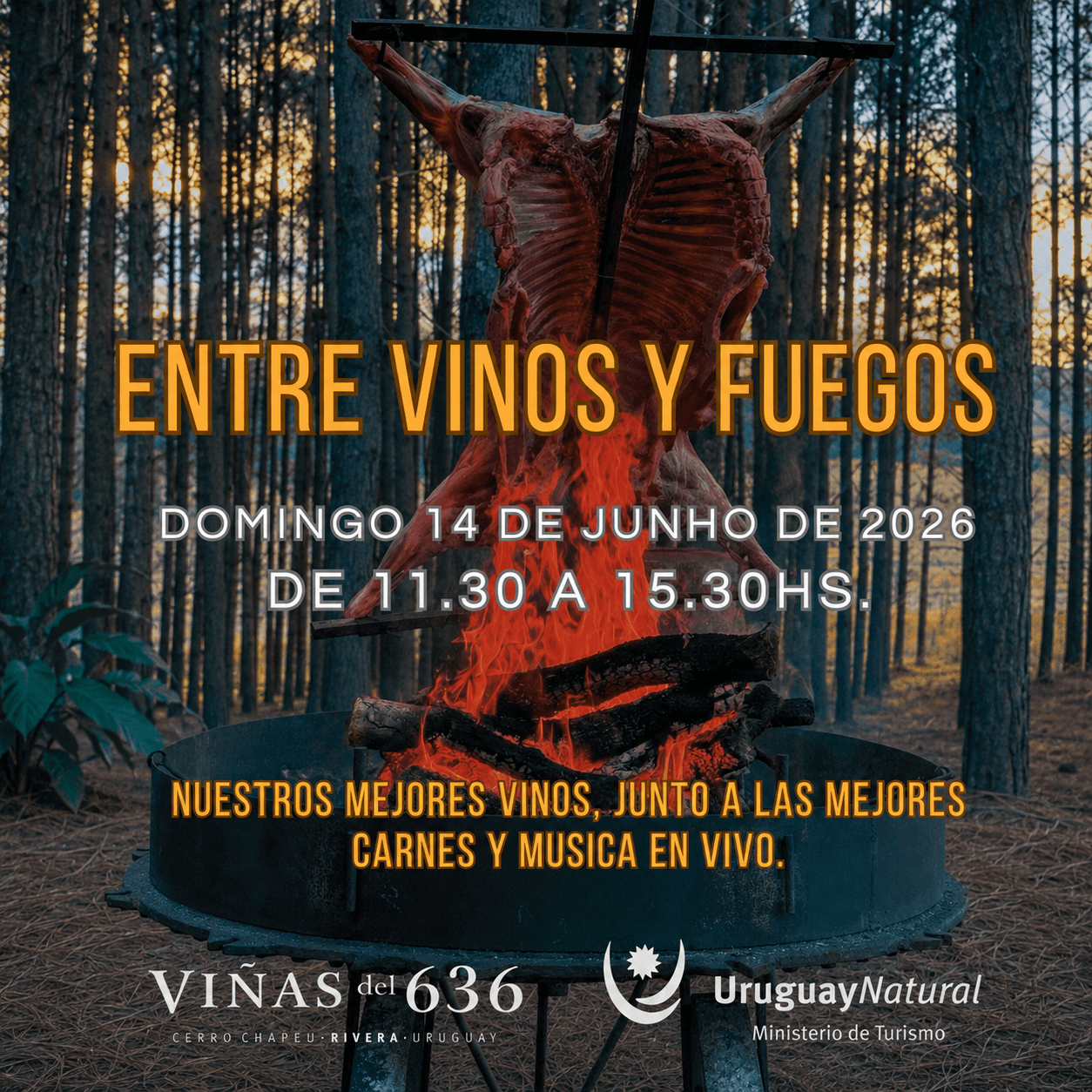 🍷🔥 Entre Vinos & Fuegos en Viñas del 636