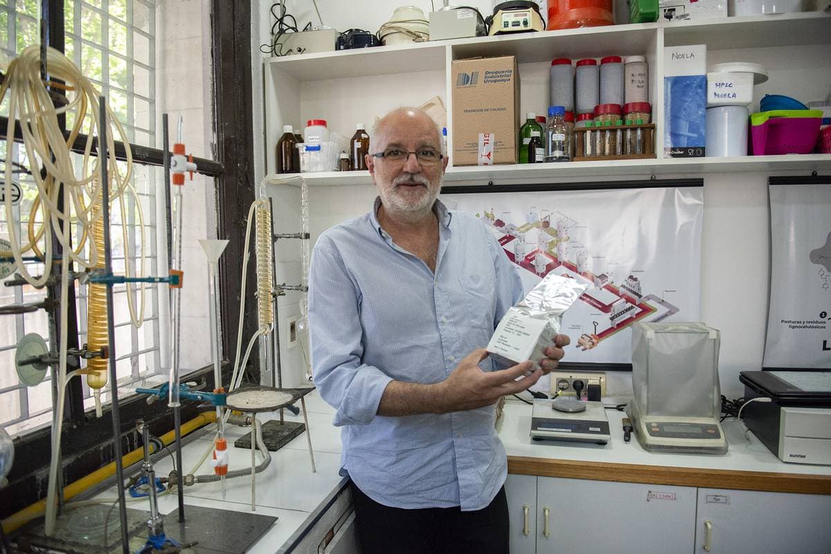 🍷 Orgullo nacional: la levadura uruguaya que conquista los vinos del mundo