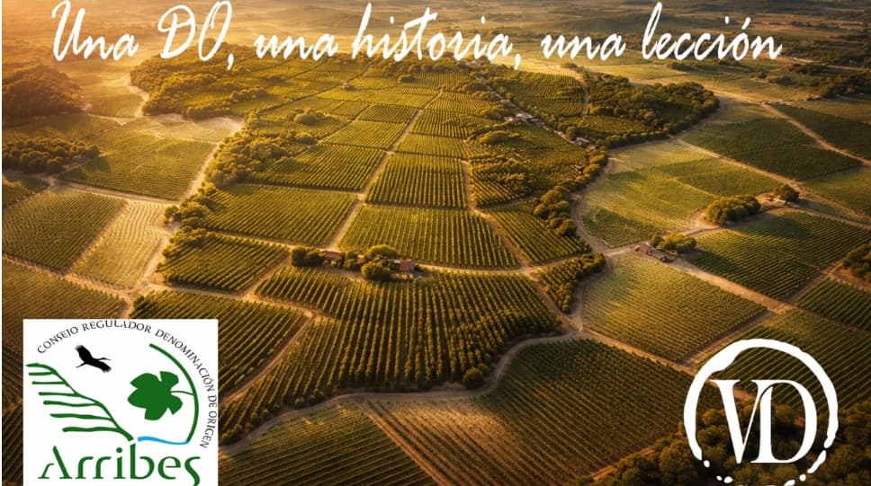 Arribes del Duero: donde el vino nace al borde del abismo.