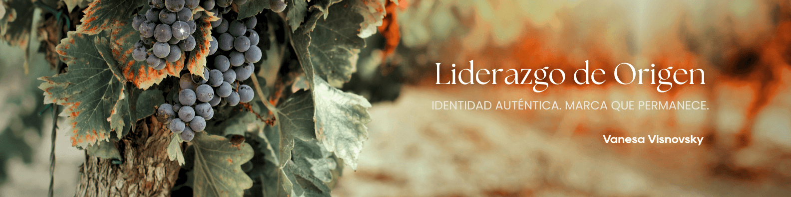 Portada del usuario generador de contenido