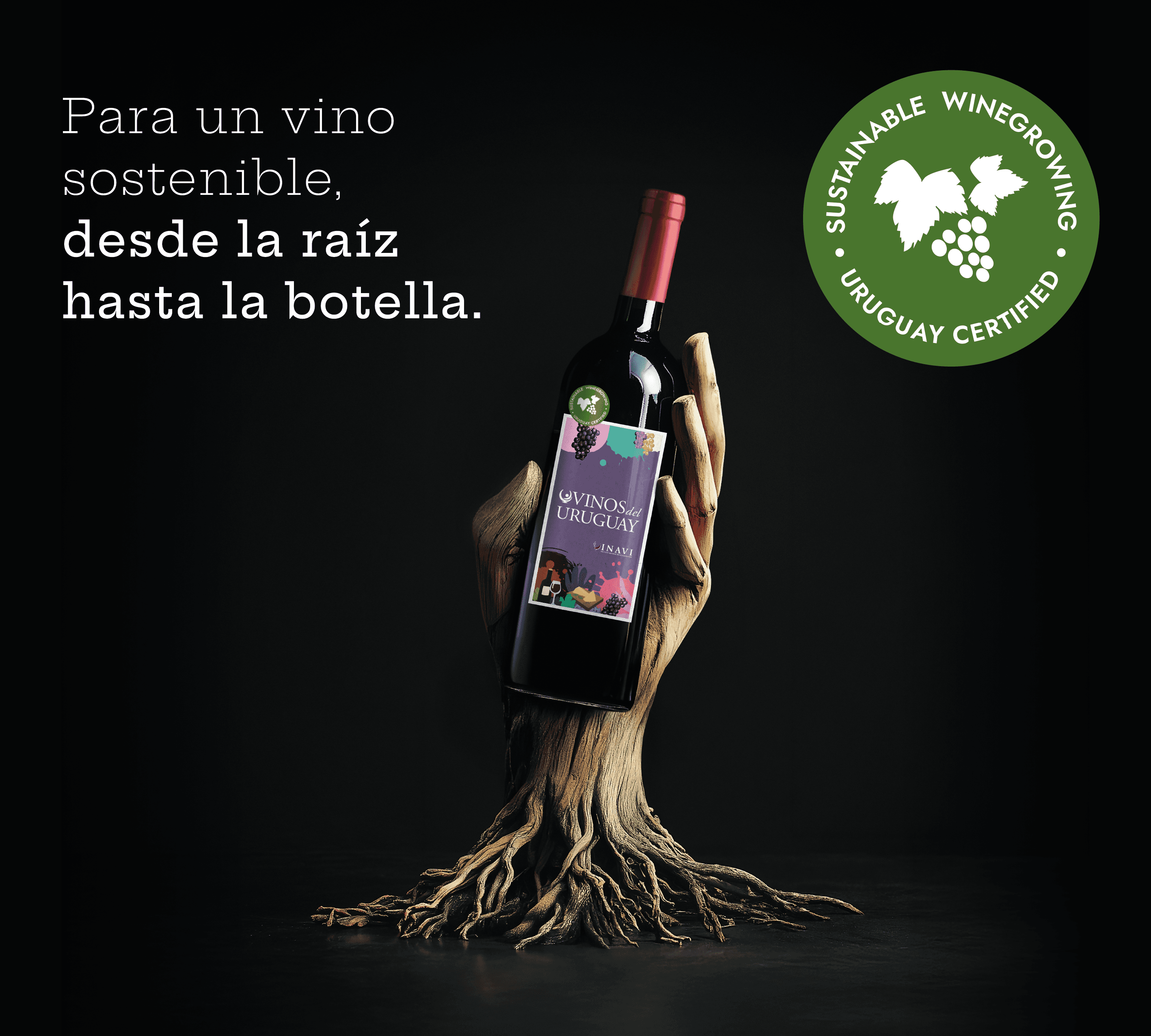 🎵 Música Sostenible: vinos uruguayos que resuenan con el planeta