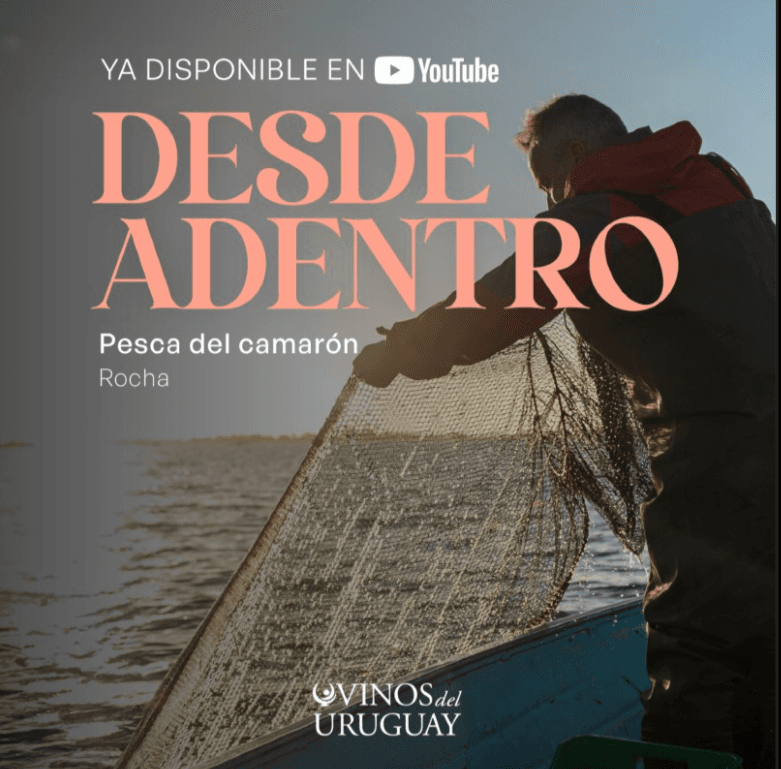 Camarón de Rocha y vino uruguayo