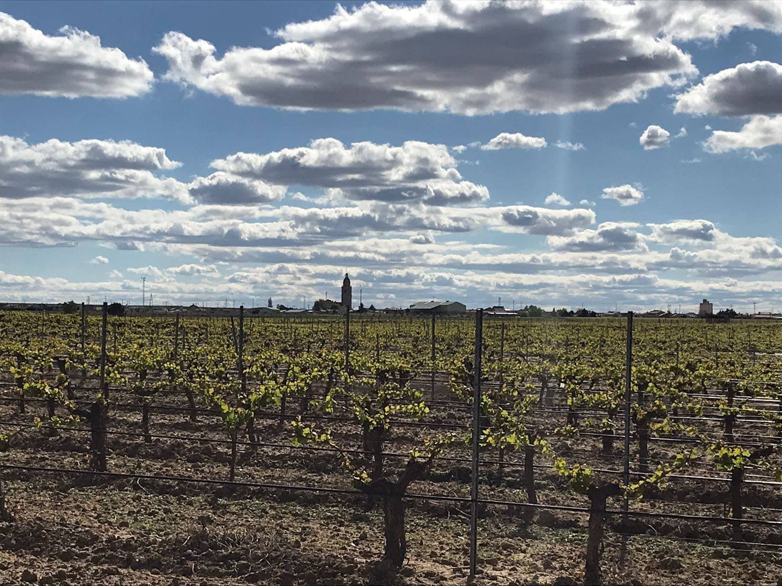 “Más que Turismo, más que Vino: la Experiencia del Enoturismo”