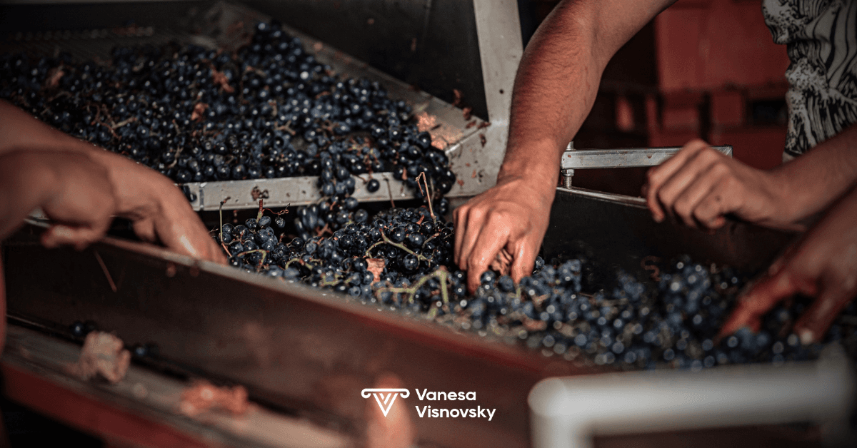 Tu bodega tiene denominación de origen. ¿Y tu liderazgo?