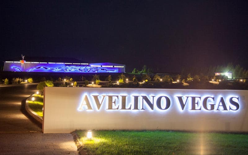 Bodegas Avelino Vegas