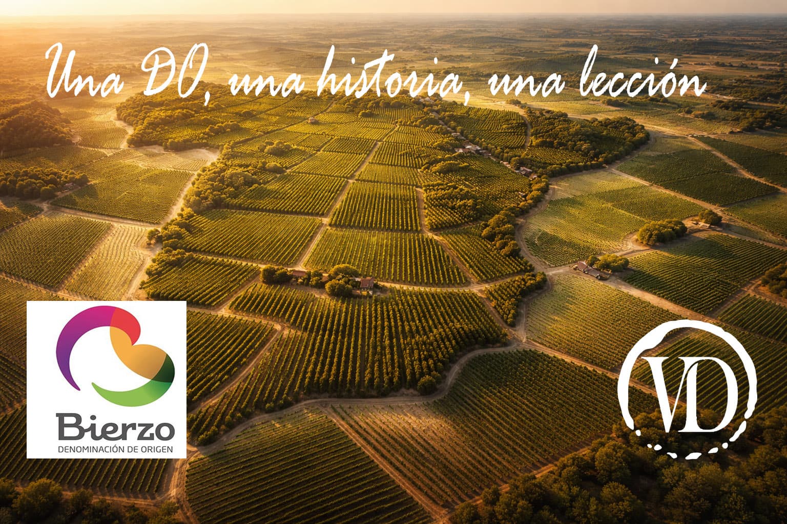 Bierzo: el lugar donde la Mencía encontró su voz