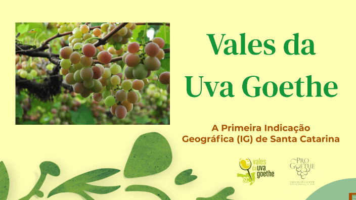 Uma uva, uma D.O