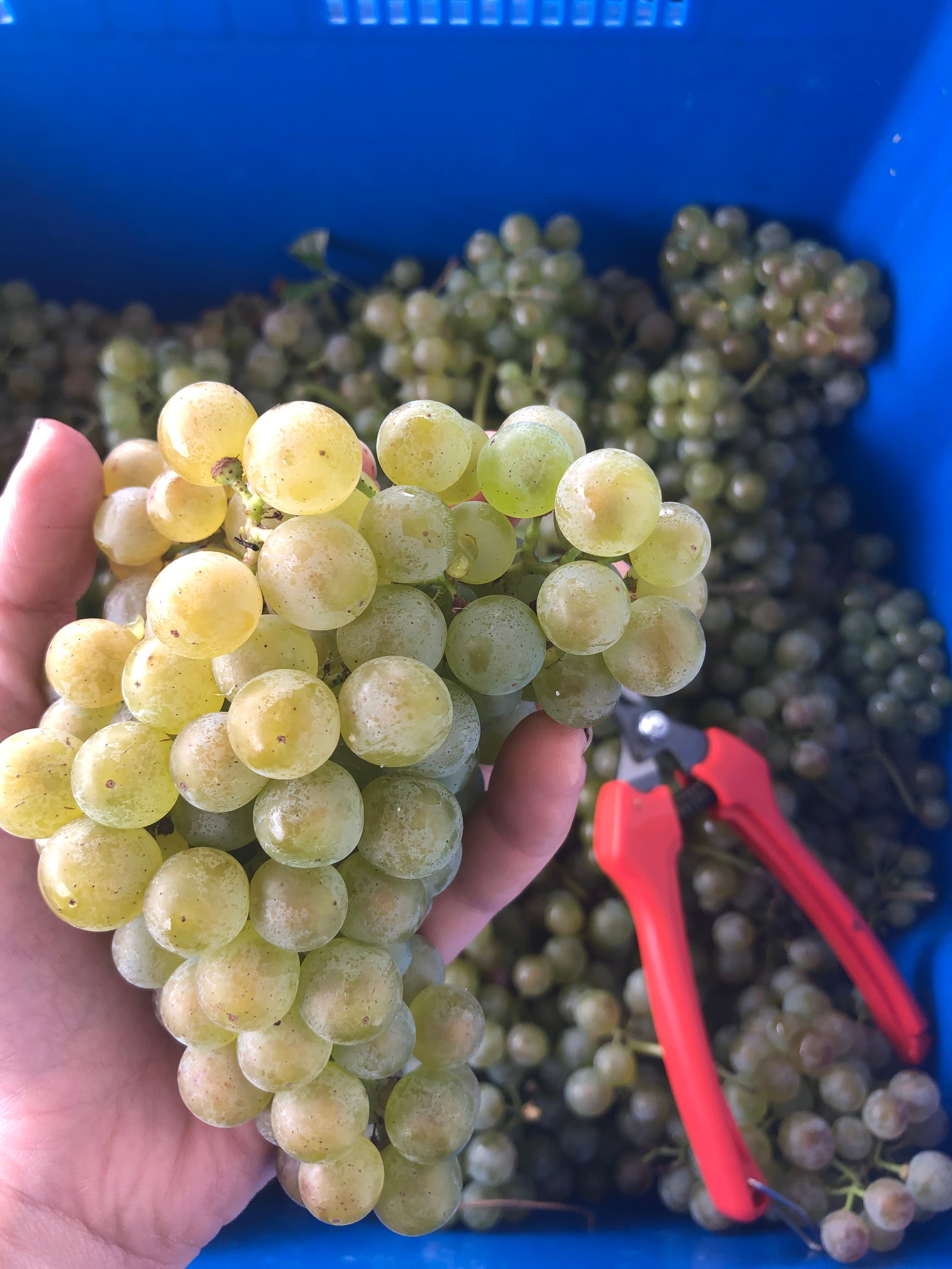 Lo tenía que decir, y lo dije