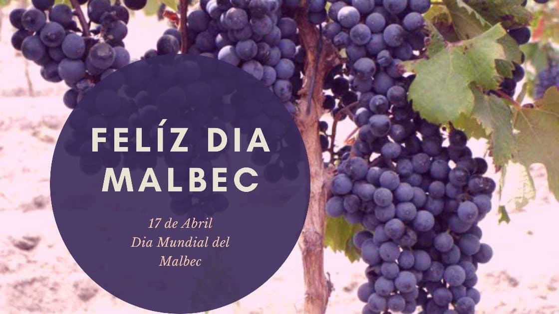 🍇 Malbec sin fronteras: celebrá el día de la uva ícono desde Cahors hasta Uruguay
