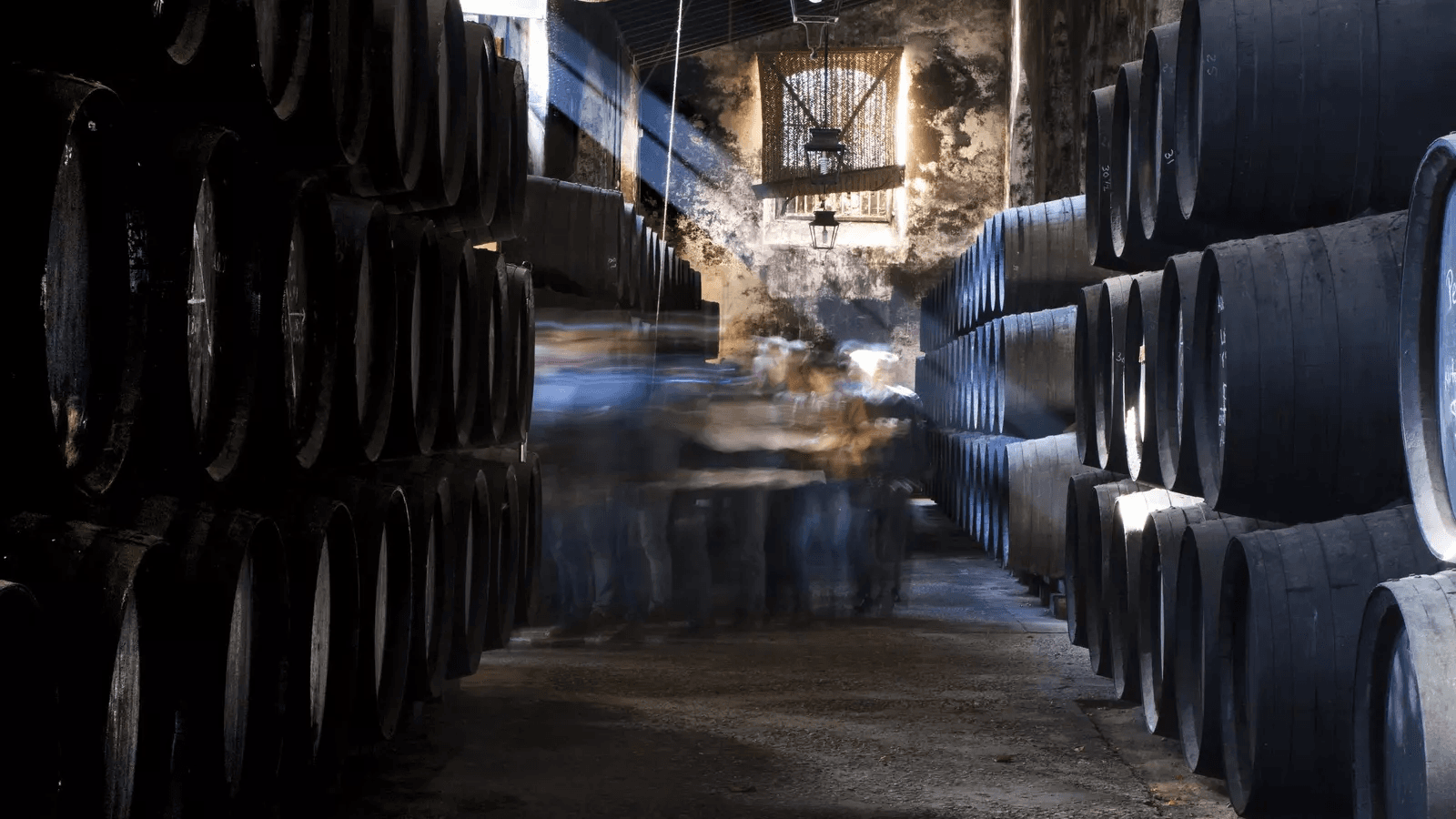 El enoturismo entra a la universidad: nace la primera microcredencial oficial