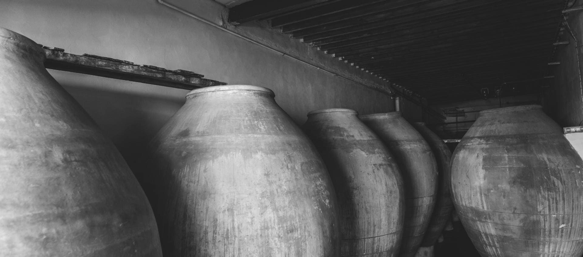 Torres Filoso Viña y Bodega