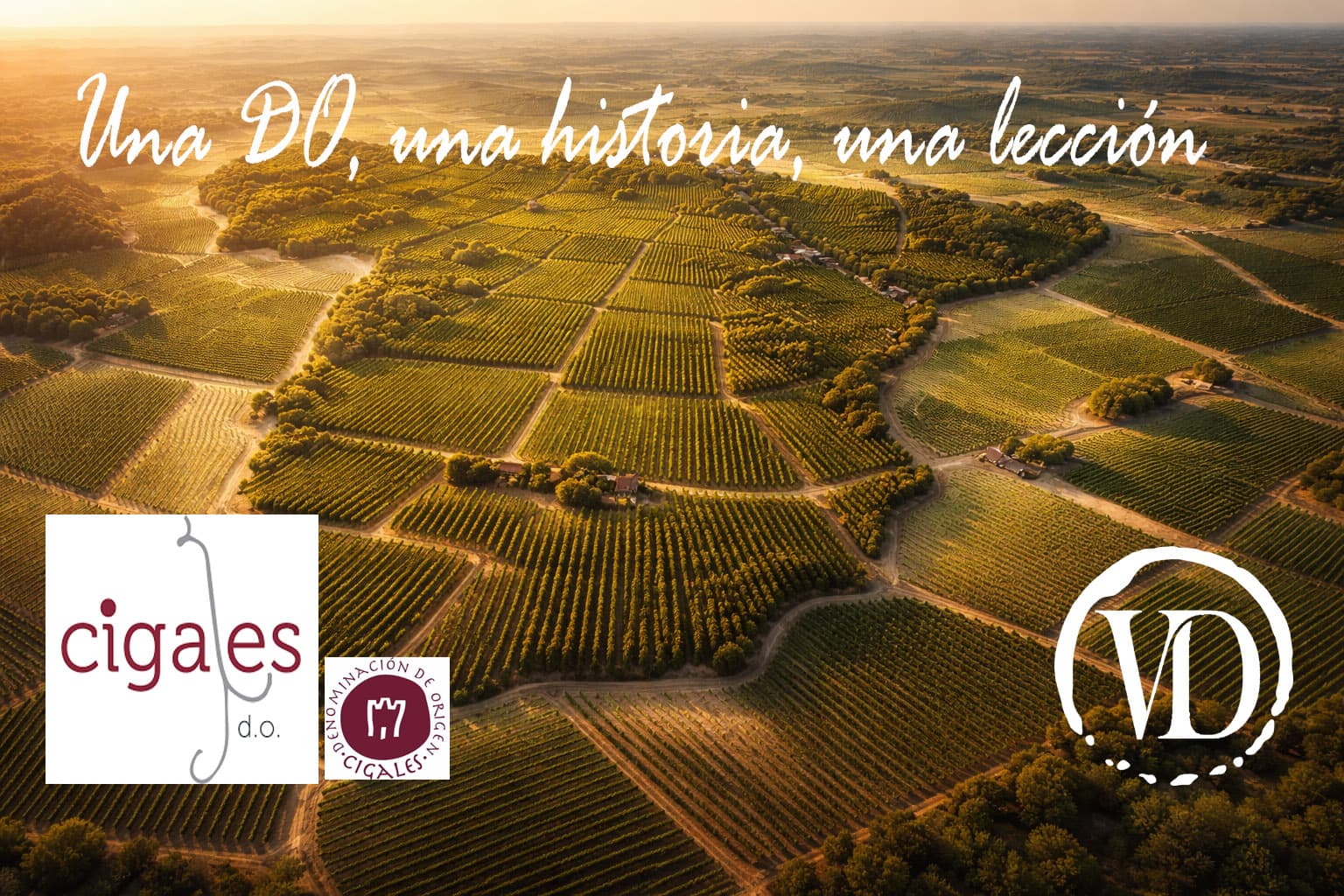 Denominación de Origen Cigales.