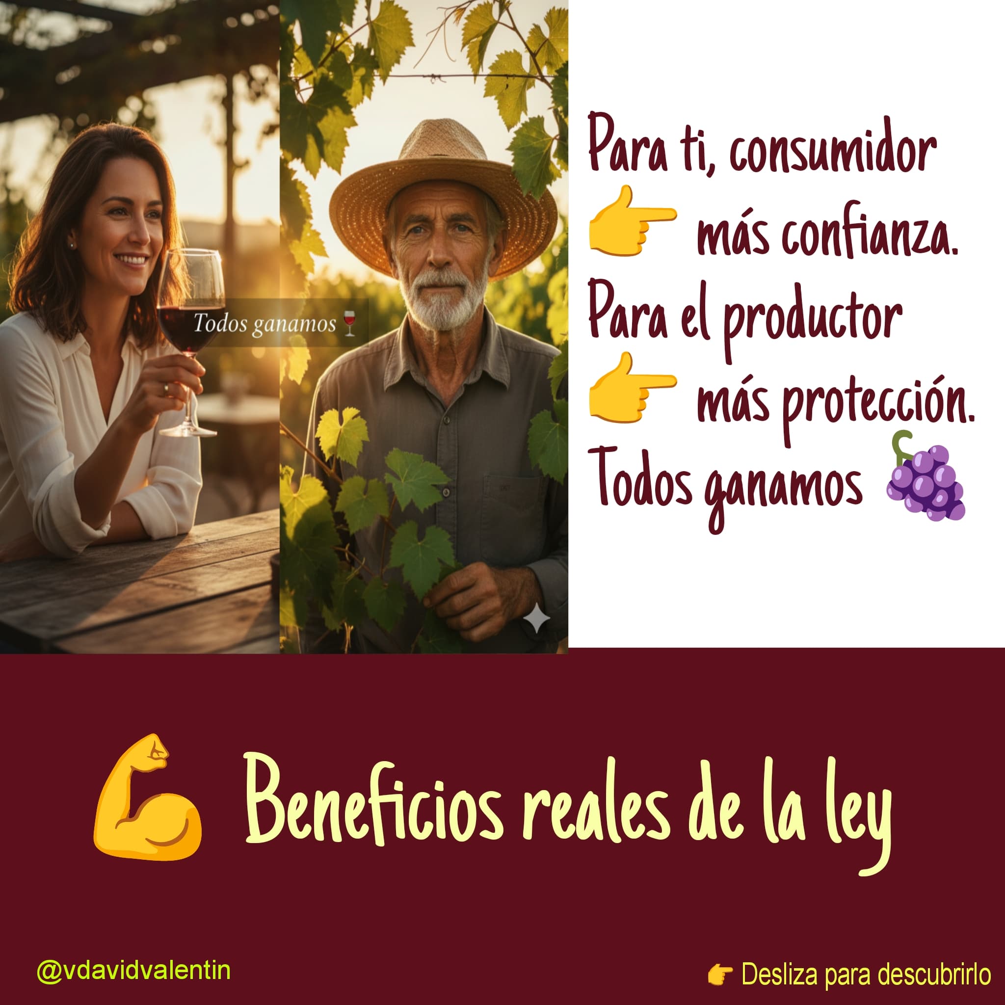 🍷 Ley 24/2003 de la Viña y el Vino: la base que garantiza la calidad del vino español