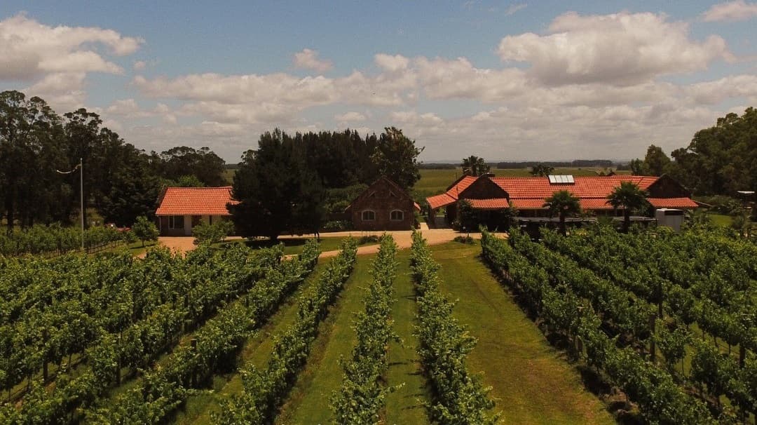 PROFUNDO VINEYARDS & WINE