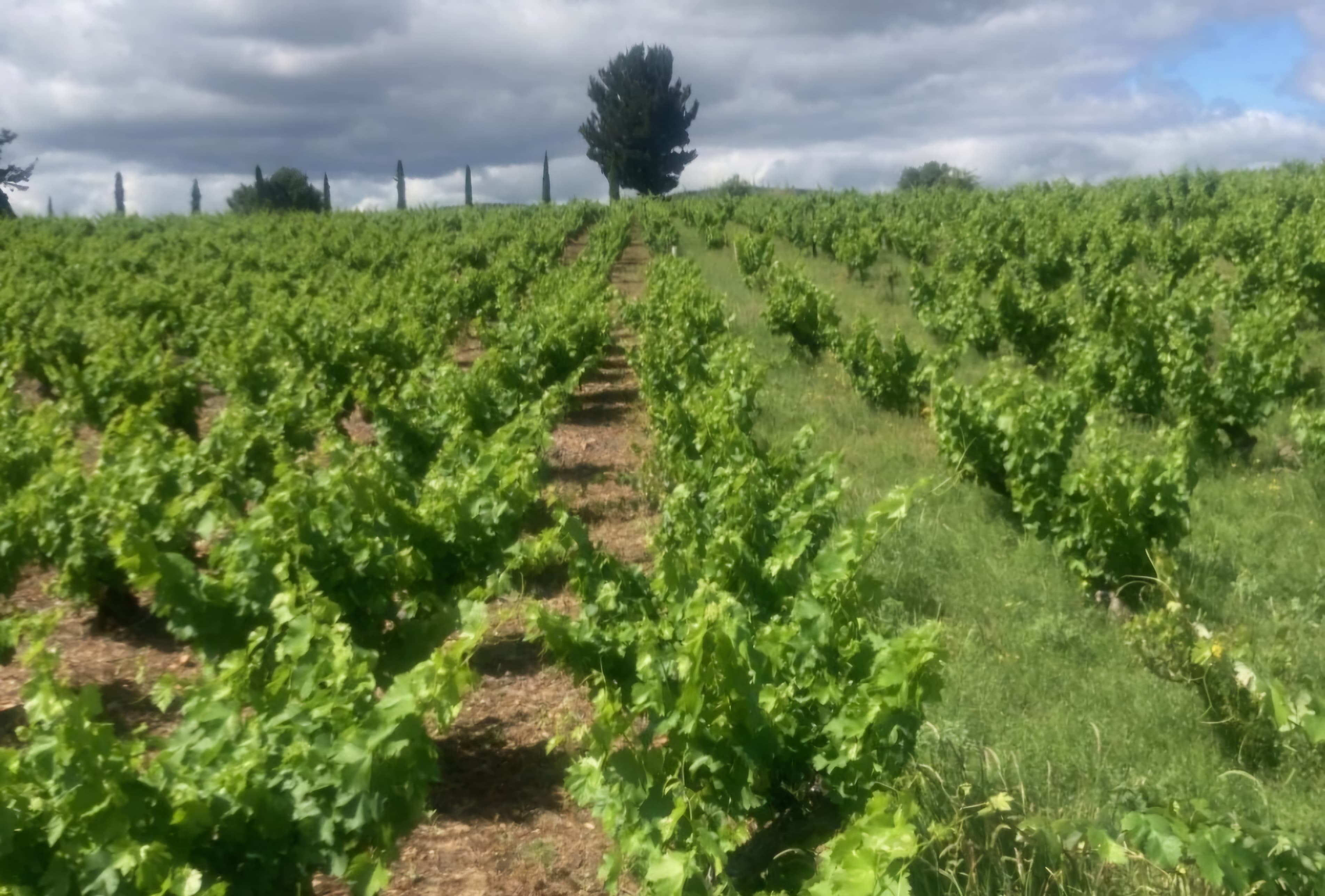 Portada del usuario generador de contenido