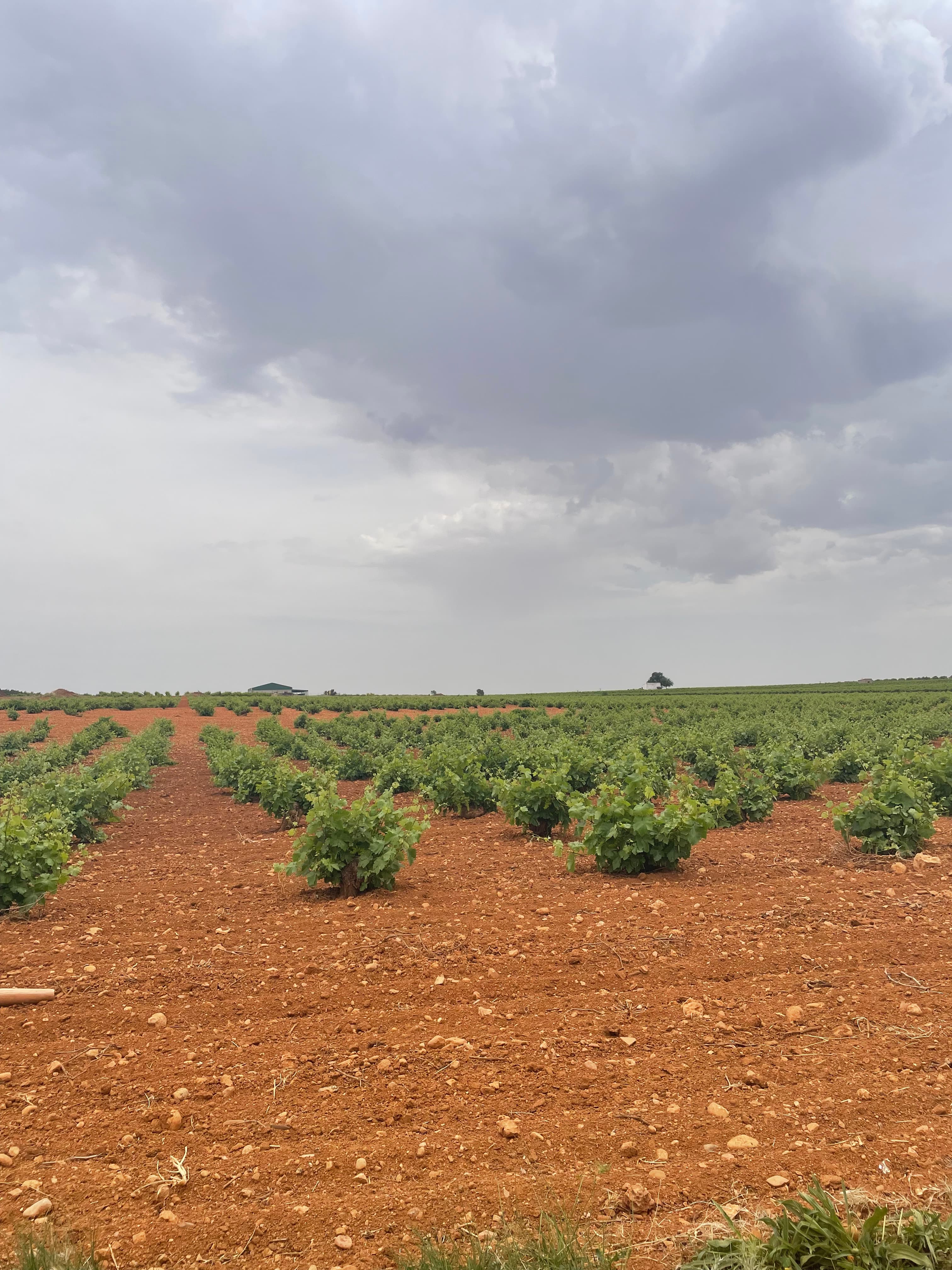 Portada del usuario generador de contenido
