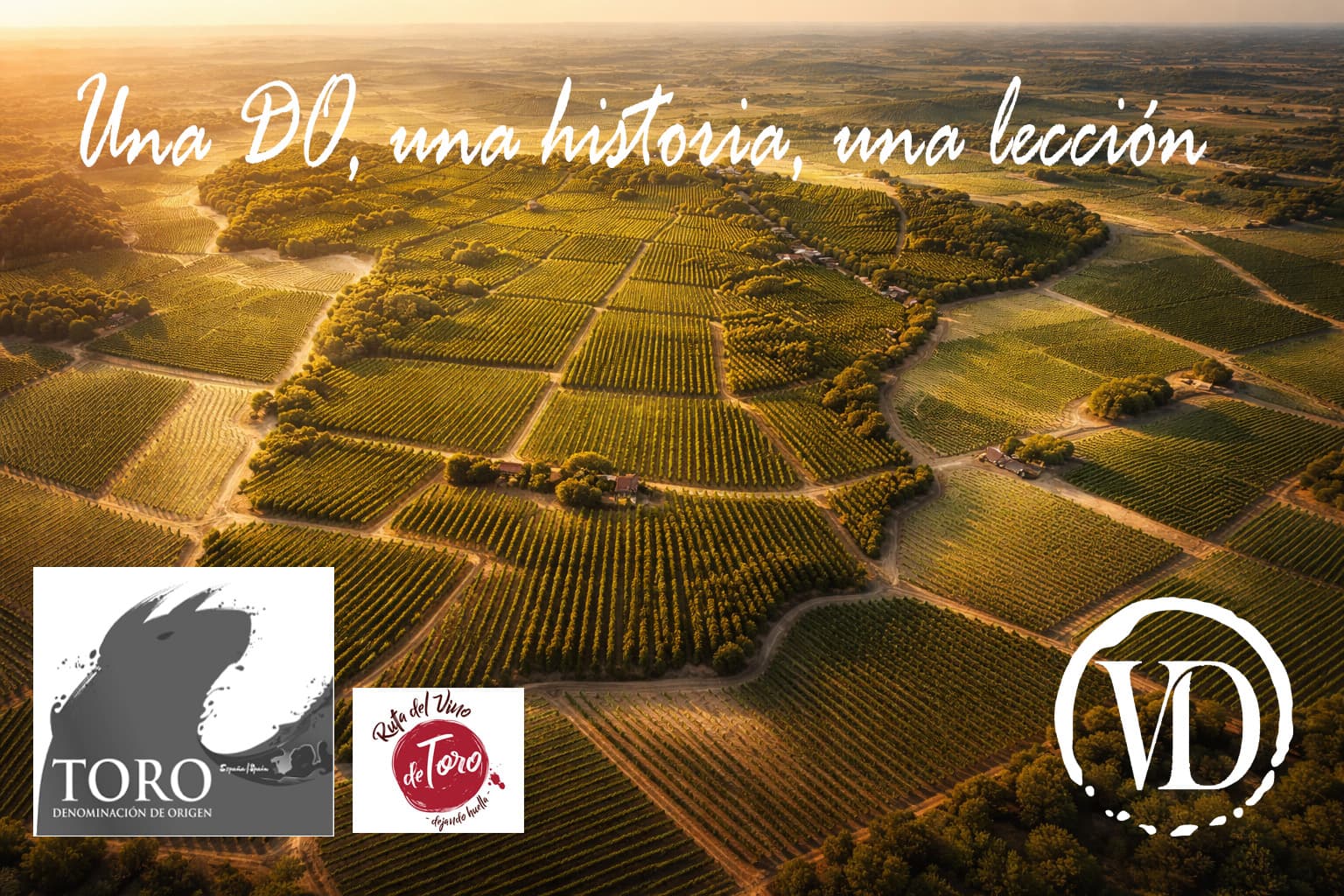 “Toro no da vino… da carácter.”