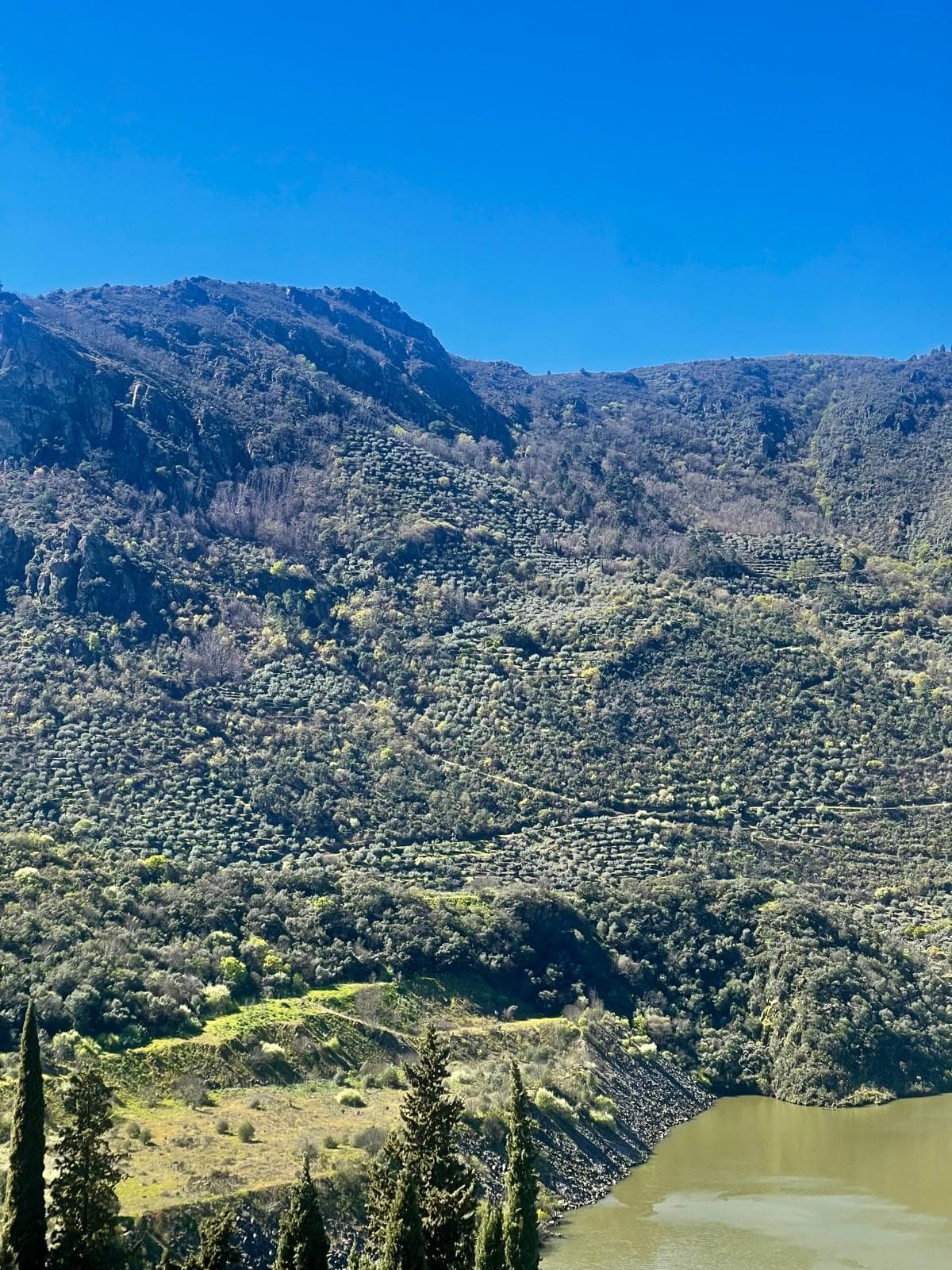 Bancales en Arribes del Duero: donde la tierra se convierte en paisaje vivo