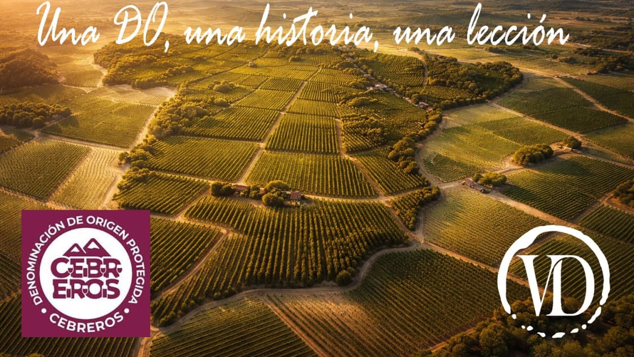 ¿Y si te dijera que una de las zonas más emocionantes del vino español sigue siendo, para muchos, una gran desconocida?