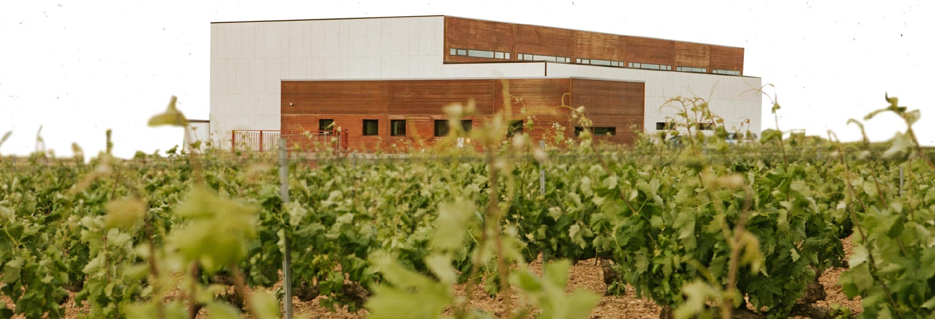 Bodegas Salvueros