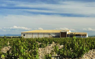 Bodegas Shaya